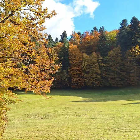 Forest House Henriette