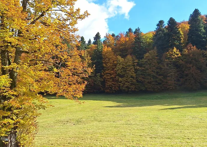 Forest House Henriette