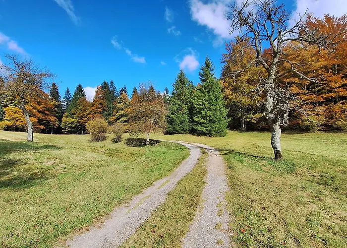 Tatil Evi Forest House Henriette Ig